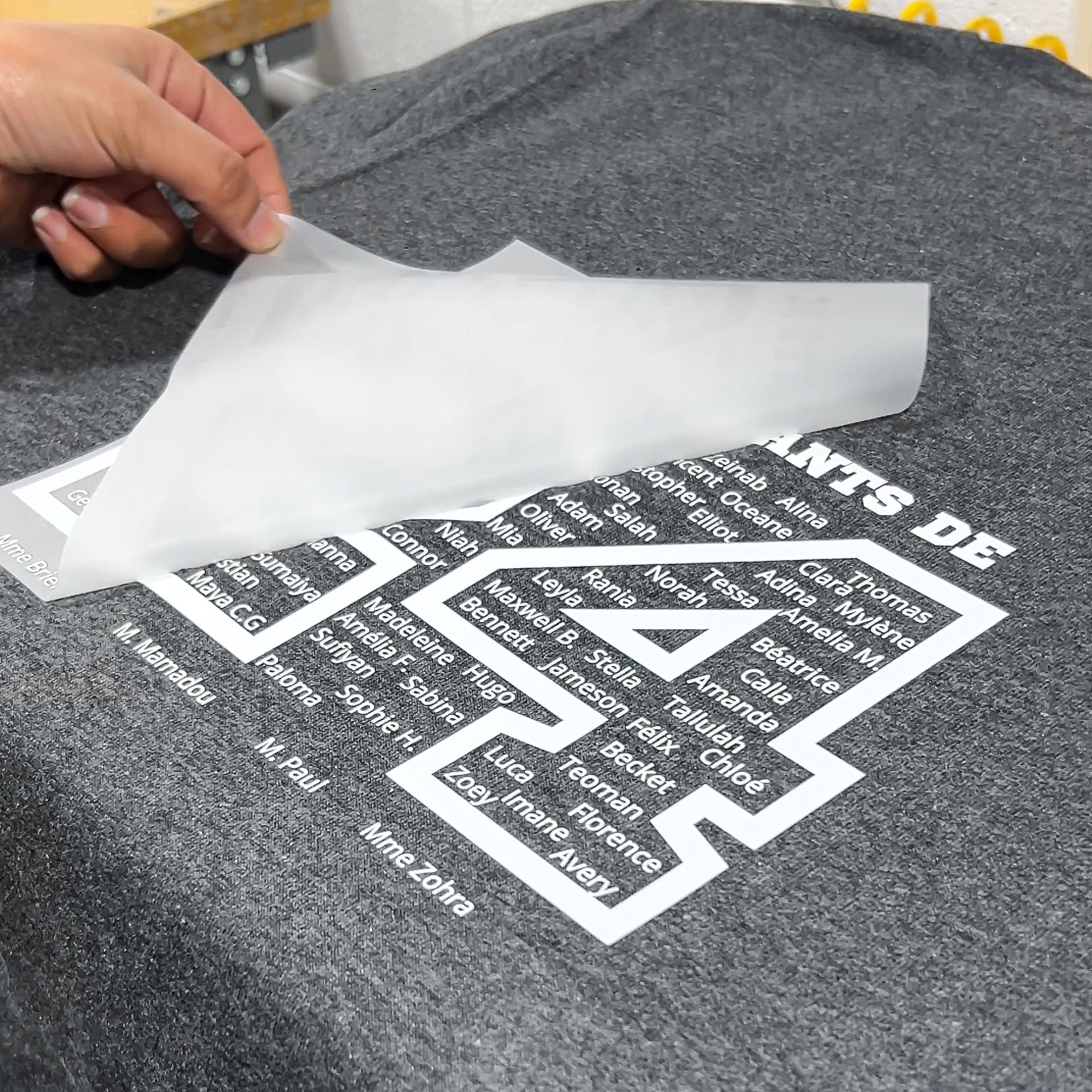 DTF Heat Transfer - Custom DTF Transfers Printing, DTF for Shirts & T ...